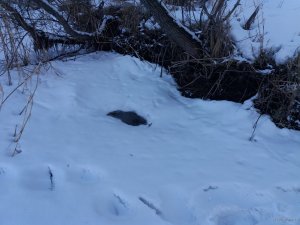 20190302_155421.jpg