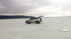 IMG_20190303_094708_445.jpg
