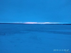 IMG_20190303_054746.jpg