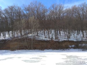 IMG_20190303_122915.jpg