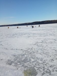 IMG_20190303_074937.jpg
