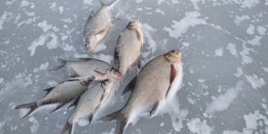 IMG_20190303_143717.jpg