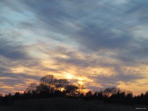 IMG_1811.JPG
