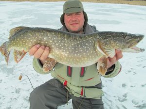 IMG_1795.JPG
