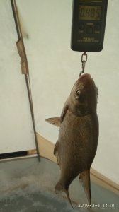 IMG_20190301_141848.jpg