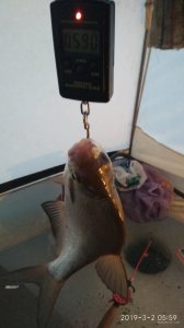 IMG_20190302_055945.jpg