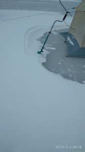 IMG_20190302_081817.jpg