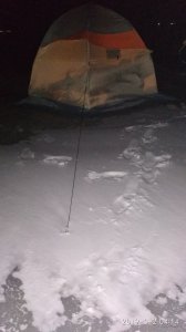 IMG_20190302_041408.jpg