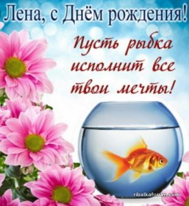 IMG_20190304_061450_785.JPG