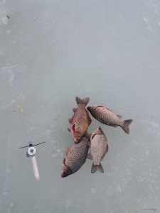20190301_112757.jpg