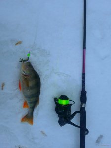 20190304_141616.jpg