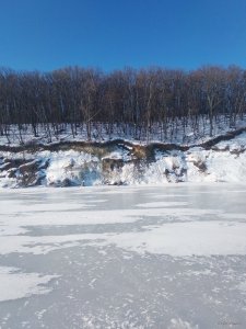IMG_20190304_071538.jpg