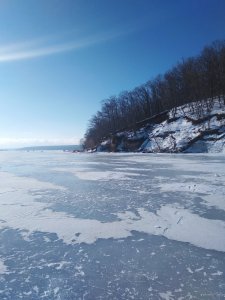 IMG_20190304_071611.jpg