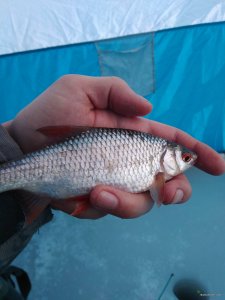 IMG_20190304_072327.jpg