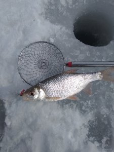 IMG_20190303_194602.jpg