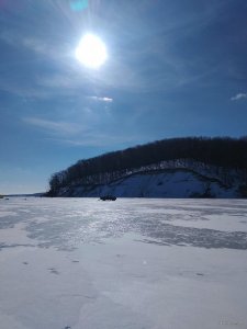 IMG_20190304_072402.jpg