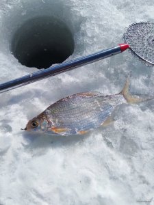 IMG_20190304_114326.jpg