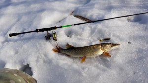 20190217_124156.jpg