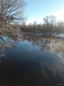 IMG_20190224_080849.jpg