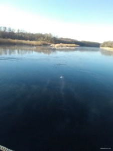 IMG_20190224_080844.jpg
