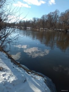 IMG_20190224_122334.jpg