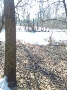 IMG_20190224_093839.jpg