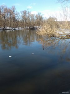 IMG_20190224_122330.jpg