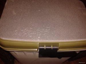 20190304_190852[1].jpg