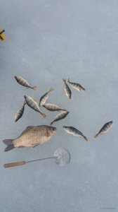 20190305_130456.jpg