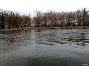 IMG_20190305_165425.jpg