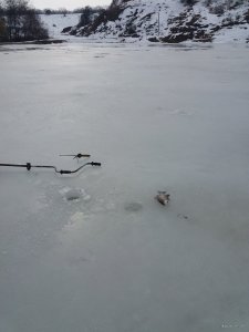 20190305_100300.jpg