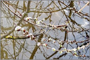 IMG_0031a.JPG