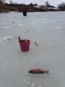 20190301_132253.jpg