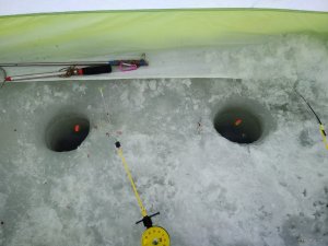 IMG_20190304_093451.jpg