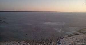 IMG_20190306_064340.jpg
