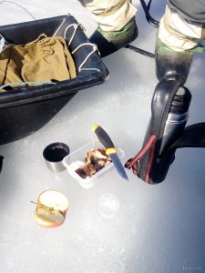 IMG_20190307_103010.jpg