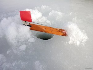IMG_20190307_082048.jpg
