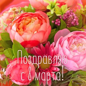 vosmoe-marta-626.jpg