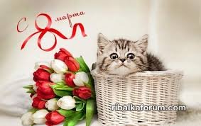 Без названия.jpg