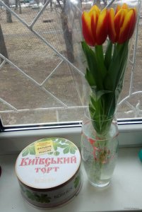IMG_20190308_102450.jpg
