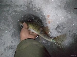 IMG_20190306_050122_HHT.jpg