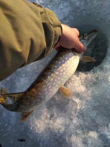 IMG_20190306_080846.jpg