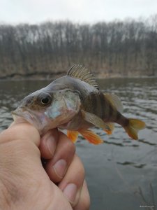 IMG_20190308_095029.jpg