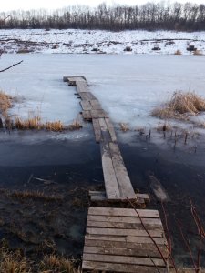20190307_171201.jpg