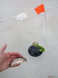 IMG_20190309_074430.jpg
