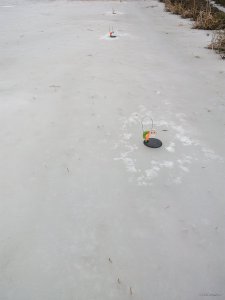 IMG_20190309_084248.jpg