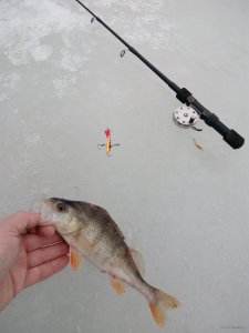 IMG_20190309_080716.jpg