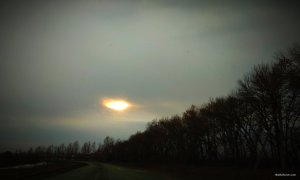 IMG_20190308_220911.jpg