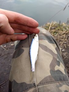 IMG_20190309_105353126.jpg