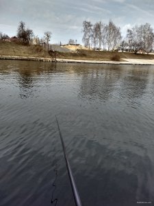 IMG_20190309_114724959_HDR.jpg